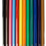 Карандаши цветные Луч ZOO пластиковые 12 цветов, 29С 1740-08