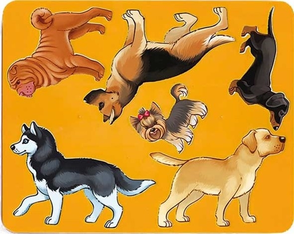Фото по запросу Раскраска собак картинки