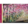 Краски акварельные De Luxe 16 цветов без кисточки, арт. 14С 1019-08